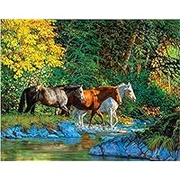 Amazon.co.jp: Meecaa Paint by Numbers 馬 ジャングルクリーク